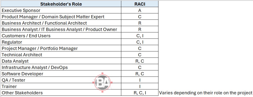 Stakeholder RACI Matrix Example - BA Scope